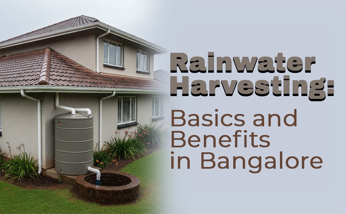 Rainwater Harvesting: Basics and Benefits in Bangalore